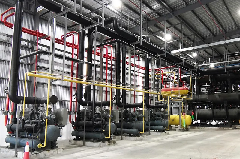 Proyecto de almacenamiento en frío de 6000 toneladas de CO₂ en Malasia