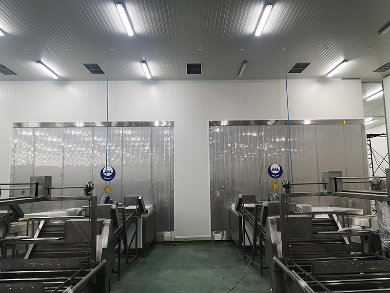 Proyecto de planta de procesamiento de alimentos para Citra, Indonesia