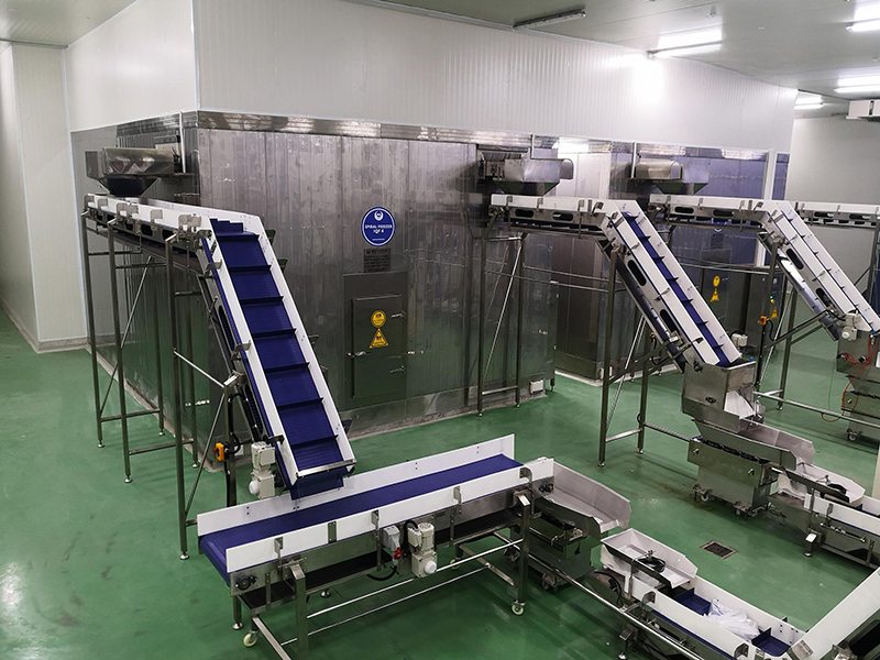 Proyecto de planta de procesamiento de alimentos para Citra, Indonesia