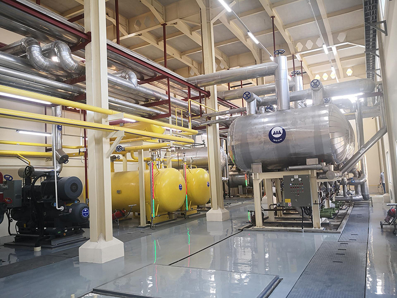 Proyecto de planta de procesamiento de alimentos para Citra, Indonesia