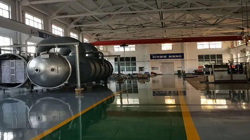 Proyecto de alimentos liofilizados de Linyi, China