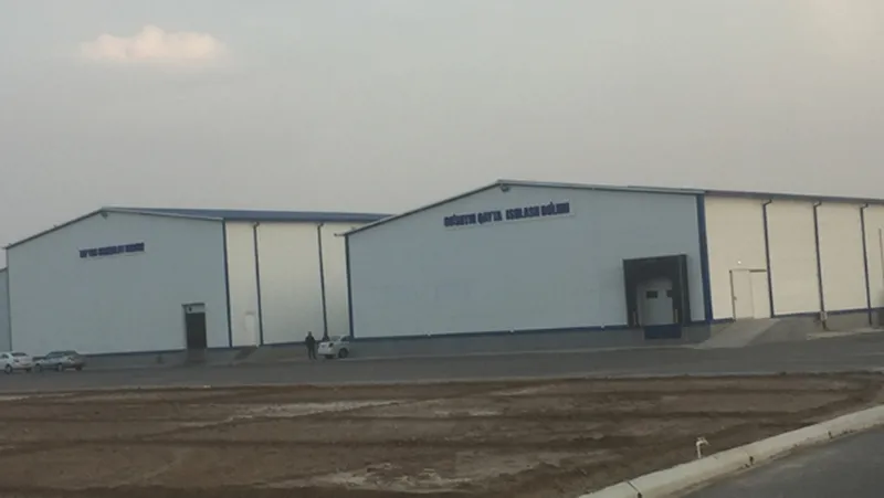 Procesamiento de 3500 pollos, Uzbekistán