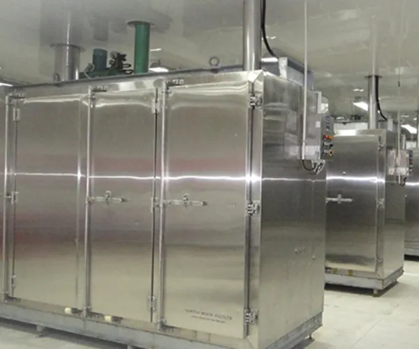 Proyecto de procesamiento de filetes de basa, Vietnam