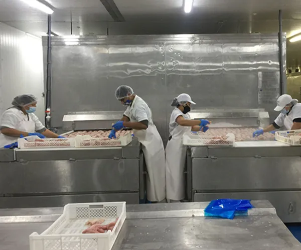 Proyecto de procesamiento de mariscos, Perú