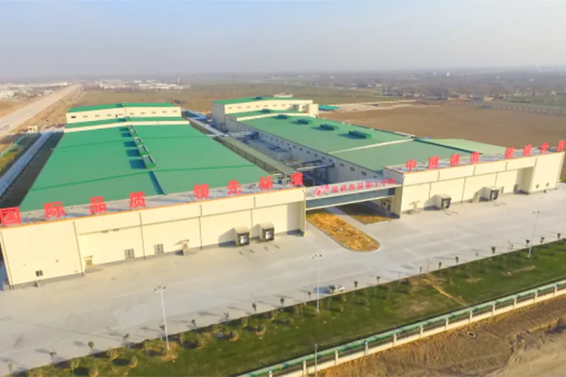 Proyecto de cría y procesamiento avícola de Shandong Fengxiang