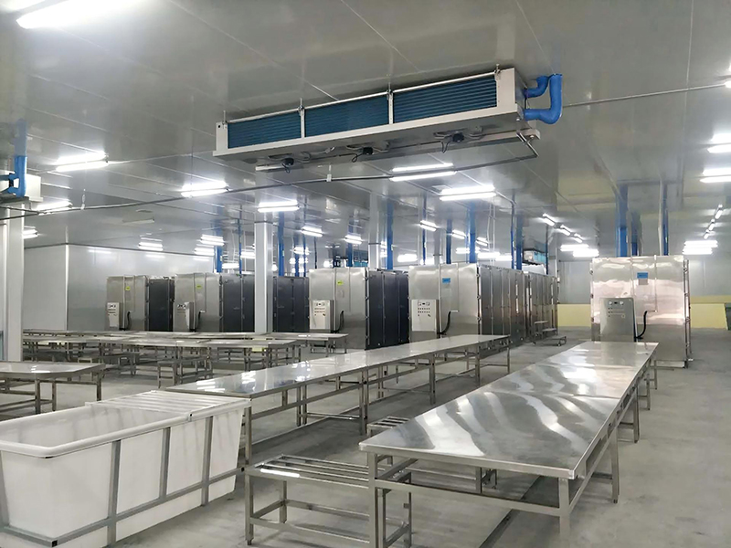 Proyecto de procesamiento de pescado en Guyana