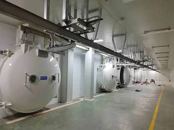 Proyecto de línea de producción de liofilización de la fábrica de alimentos de Yunnan en China